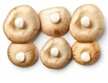 Featured products - 兰博电竞官网